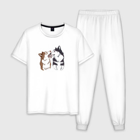 Мужская пижама хлопок с принтом Две Хаски в Тюмени, 100% хлопок | брюки и футболка прямого кроя, без карманов, на брюках мягкая резинка на поясе и по низу штанин
 | две хаски | друзья | питомцы | рисунок | собаки | хаски