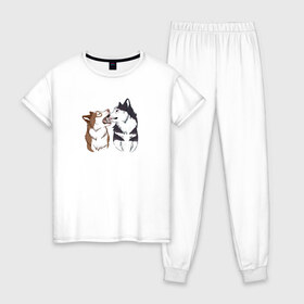 Женская пижама хлопок с принтом Две Хаски в Тюмени, 100% хлопок | брюки и футболка прямого кроя, без карманов, на брюках мягкая резинка на поясе и по низу штанин | две хаски | друзья | питомцы | рисунок | собаки | хаски