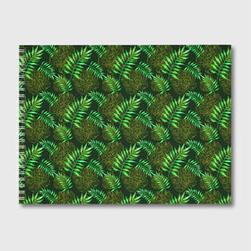 Альбом для рисования с принтом Зеленые тропики в Тюмени, 100% бумага
 | матовая бумага, плотность 200 мг. | Тематика изображения на принте: гавайи | листья | листья пальм | пальмы | тропики