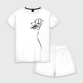Женская пижама с шортиками хлопок с принтом лабрадор в Тюмени, 100% хлопок | футболка прямого кроя, шорты свободные с широкой мягкой резинкой | друг | лабрадор | пёс | ретривер | собака