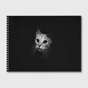 Альбом для рисования с принтом Кошачья морда в Тюмени, 100% бумага
 | матовая бумага, плотность 200 мг. | Тематика изображения на принте: кот | кошка | темнота