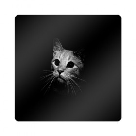 Магнит виниловый Квадрат с принтом Кошачья морда в Тюмени, полимерный материал с магнитным слоем | размер 9*9 см, закругленные углы | кот | кошка | темнота