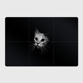 Магнитный плакат 3Х2 с принтом Кошачья морда в Тюмени, Полимерный материал с магнитным слоем | 6 деталей размером 9*9 см | кот | кошка | темнота
