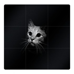Магнитный плакат 3Х3 с принтом Кошачья морда в Тюмени, Полимерный материал с магнитным слоем | 9 деталей размером 9*9 см | кот | кошка | темнота