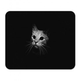 Коврик для мышки прямоугольный с принтом Кошачья морда в Тюмени, натуральный каучук | размер 230 х 185 мм; запечатка лицевой стороны | Тематика изображения на принте: кот | кошка | темнота