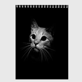 Скетчбук с принтом Кошачья морда в Тюмени, 100% бумага
 | 48 листов, плотность листов — 100 г/м2, плотность картонной обложки — 250 г/м2. Листы скреплены сверху удобной пружинной спиралью | Тематика изображения на принте: кот | кошка | темнота