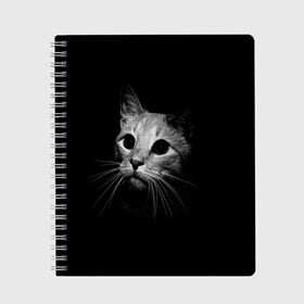 Тетрадь с принтом Кошачья морда в Тюмени, 100% бумага | 48 листов, плотность листов — 60 г/м2, плотность картонной обложки — 250 г/м2. Листы скреплены сбоку удобной пружинной спиралью. Уголки страниц и обложки скругленные. Цвет линий — светло-серый
 | Тематика изображения на принте: кот | кошка | темнота