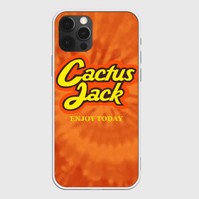 Чехол для iPhone 12 Pro Max с принтом Cactus Jack в Тюмени, Силикон |  | Тематика изображения на принте: reeses puffs | travis scott | джэк | кактус | трэвис скотт
