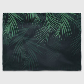 Плед 3D с принтом Пальмовый узор в Тюмени, 100% полиэстер | закругленные углы, все края обработаны. Ткань не мнется и не растягивается | джунгли | зелёный | лепестки | лепесток | лес | листья | пальма | пальмы | папоротник | салатовый | тропики | черный