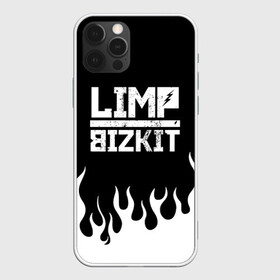 Чехол для iPhone 12 Pro с принтом Limp Bizkit в Тюмени, силикон | область печати: задняя сторона чехла, без боковых панелей | bizkit | limp | limp bizkit | music | rock | бизкиты | лимп бизкит | лимпы | липкие письки | музыка | рок