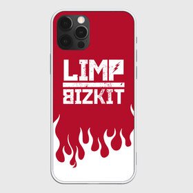 Чехол для iPhone 12 Pro Max с принтом Limp Bizkit в Тюмени, Силикон |  | bizkit | limp | limp bizkit | music | rock | бизкиты | лимп бизкит | лимпы | липкие письки | музыка | рок