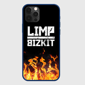 Чехол для iPhone 12 Pro с принтом Limp Bizkit  в Тюмени, силикон | область печати: задняя сторона чехла, без боковых панелей | bizkit | limp | limp bizkit | music | rock | бизкиты | лимп бизкит | лимпы | липкие письки | музыка | рок