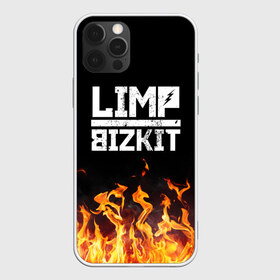 Чехол для iPhone 12 Pro Max с принтом Limp Bizkit в Тюмени, Силикон |  | bizkit | limp | limp bizkit | music | rock | бизкиты | лимп бизкит | лимпы | липкие письки | музыка | рок