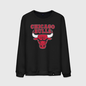 Мужской свитшот хлопок с принтом CHICAGO BULLS | ЧИКАГО БУЛЛС в Тюмени, 100% хлопок |  | bulls | chicago | chicago bulls | nba | red bulls | usa | америка | быки | нба | сша | чикаго буллс