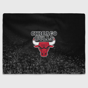 Плед 3D с принтом CHICAGO BULLS в Тюмени, 100% полиэстер | закругленные углы, все края обработаны. Ткань не мнется и не растягивается | bulls | chicago | chicago bulls | nba | red bulls | usa | америка | быки | нба | сша | чикаго буллс