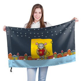 Флаг 3D с принтом Мышонок с сыром в Тюмени, 100% полиэстер | плотность ткани — 95 г/м2, размер — 67 х 109 см. Принт наносится с одной стороны | 