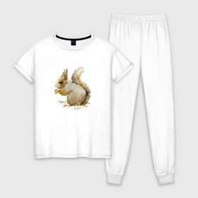 Женская пижама хлопок с принтом Белка в Тюмени, 100% хлопок | брюки и футболка прямого кроя, без карманов, на брюках мягкая резинка на поясе и по низу штанин | акварель | белка | рисунок