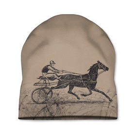 Шапка 3D с принтом лошадь с колесницей в Тюмени, 100% полиэстер | универсальный размер, печать по всей поверхности изделия | животные | конный спорт | конь | лошадь | наездник | спорт