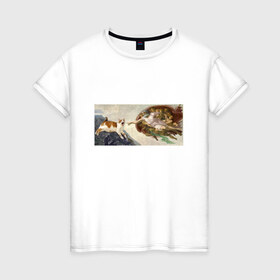 Женская футболка хлопок с принтом Сотворение Адама и кот в Тюмени, 100% хлопок | прямой крой, круглый вырез горловины, длина до линии бедер, слегка спущенное плечо | mem | memes | весело | искусство | кот | котик | мем | прикол | сотворение адама