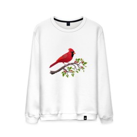 Мужской свитшот хлопок с принтом Красный кардинал в Тюмени, 100% хлопок |  | Тематика изображения на принте: cardinalis cardinalis | красный кардинал | новогодняя птица | птица | птичка | рождественская птица