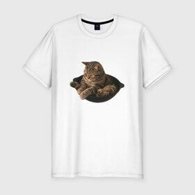 Мужская футболка хлопок Slim с принтом Кот в сковороде в Тюмени, 92% хлопок, 8% лайкра | приталенный силуэт, круглый вырез ворота, длина до линии бедра, короткий рукав | mem | кот | кот сидит в сковороде | котик | мем | прикол | смешной