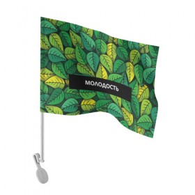 Флаг для автомобиля с принтом Молодость/глупость в Тюмени, 100% полиэстер | Размер: 30*21 см | Тематика изображения на принте: глупость | жизнь | зелень | листья | молодость | надпись