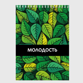 Скетчбук с принтом Молодость глупость в Тюмени, 100% бумага
 | 48 листов, плотность листов — 100 г/м2, плотность картонной обложки — 250 г/м2. Листы скреплены сверху удобной пружинной спиралью | глупость | жизнь | зелень | листья | молодость | надпись