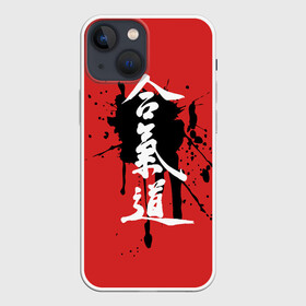 Чехол для iPhone 13 mini с принтом Айкидо в Тюмени,  |  | aikido | аикидо | айкидо | восточные единоборства | единоборства | морихей уэсиба