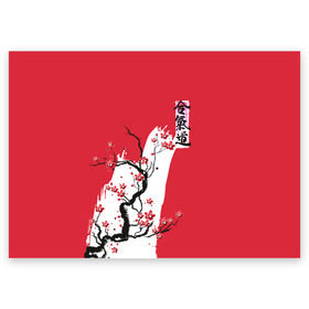 Поздравительная открытка с принтом Сакура Айкидо в Тюмени, 100% бумага | плотность бумаги 280 г/м2, матовая, на обратной стороне линовка и место для марки
 | Тематика изображения на принте: aikido | аикидо | айкидо | восточные единоборства | единоборства | морихей уэсиба