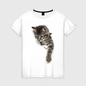 Женская футболка хлопок с принтом 3д кот в Тюмени, 100% хлопок | прямой крой, круглый вырез горловины, длина до линии бедер, слегка спущенное плечо | 3d | 3д | животные | кот | котик | кошка | прикольная картинка