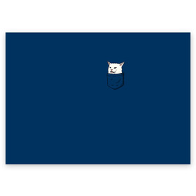 Поздравительная открытка с принтом СМАДЖ В КАРМАНЕ  в Тюмени, 100% бумага | плотность бумаги 280 г/м2, матовая, на обратной стороне линовка и место для марки
 | confused cat at dinner | woman yelling | белый кот | женщина орет на кота | кот | кот мем | кот смадж | котики | кошка | мем | мем с котом | мемы | прикол | смадж | юмор