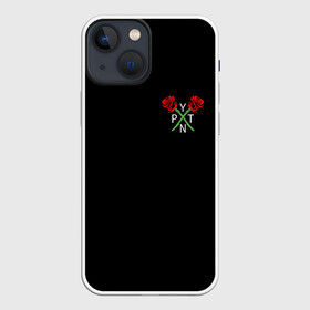 Чехол для iPhone 13 mini с принтом PAYTON MOORMEIER (НА СПИНЕ) в Тюмени,  |  | flower | payton moormeier | roses | tiktok | автограф payton | блогер | пейтон | пейтон моормиер | розы | тикток | тиктокер | цветы | ютубер