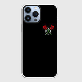 Чехол для iPhone 13 Pro Max с принтом PAYTON MOORMEIER (НА СПИНЕ) в Тюмени,  |  | Тематика изображения на принте: flower | payton moormeier | roses | tiktok | автограф payton | блогер | пейтон | пейтон моормиер | розы | тикток | тиктокер | цветы | ютубер