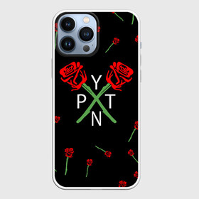Чехол для iPhone 13 Pro Max с принтом PAYTON MOORMEIER   ТИКТОК | РОЗЫ в Тюмени,  |  | payton moormeier | tiktok | блогер | пейтон | пейтон моормиер | тикток | тиктокер | ютубер