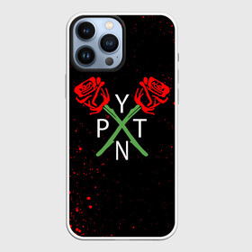 Чехол для iPhone 13 Pro Max с принтом PAYTON MOORMEIER   TIKTOK в Тюмени,  |  | payton moormeier | tiktok | блогер | пейтон | пейтон моормиер | тикток | тиктокер | ютубер
