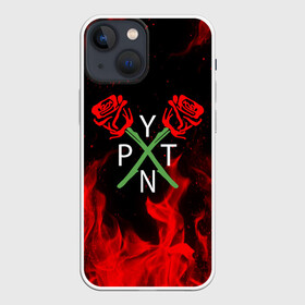 Чехол для iPhone 13 mini с принтом PAYTON MOORMEIER   ТИКТОК в Тюмени,  |  | payton moormeier | tiktok | блогер | пейтон | пейтон моормиер | тикток | тиктокер | ютубер