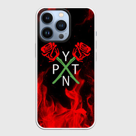 Чехол для iPhone 13 Pro с принтом PAYTON MOORMEIER   ТИКТОК в Тюмени,  |  | payton moormeier | tiktok | блогер | пейтон | пейтон моормиер | тикток | тиктокер | ютубер