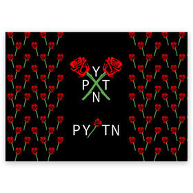 Поздравительная открытка с принтом PAYTON MOORMEIER - ТИКТОК в Тюмени, 100% бумага | плотность бумаги 280 г/м2, матовая, на обратной стороне линовка и место для марки
 | payton moormeier | tiktok | блогер | пейтон | пейтон моормиер | тикток | тиктокер | ютубер