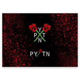 Поздравительная открытка с принтом PAYTON MOORMEIER - ТИКТОК в Тюмени, 100% бумага | плотность бумаги 280 г/м2, матовая, на обратной стороне линовка и место для марки
 | flower | payton moormeier | roses | tiktok | автограф payton | блогер | пейтон | пейтон моормиер | розы | тикток | тиктокер | цветы | ютубер