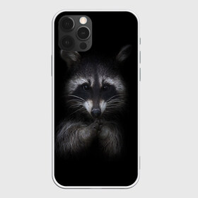 Чехол для iPhone 12 Pro Max с принтом енот в Тюмени, Силикон |  | енот | енот хайп | еноты | животные | лайв тудей