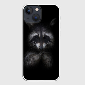 Чехол для iPhone 13 mini с принтом енот в Тюмени,  |  | енот | енот хайп | еноты | животные | лайв тудей