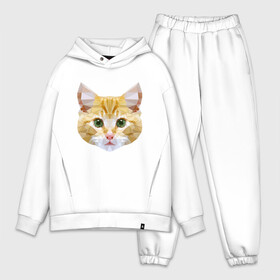 Мужской костюм хлопок OVERSIZE с принтом Кошечка в Тюмени,  |  | animal | cat | cute | kitty | meow | друг | животные | киска | китти | кот | котенок | котик | кошечка | кошка | лев | леопард | милый | мур | мяу | пантера | питомец | рысь | тигр | улыбка