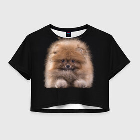 Женская футболка Crop-top 3D с принтом Рыжий Шпиц в Тюмени, 100% полиэстер | круглая горловина, длина футболки до линии талии, рукава с отворотами | детская | женская | купить | мужская | пес | рисунки щенков | рыжий | с принтом | с собаками | с собакой | со шпицами | со щенком | собака | собаки | шпиц | щенок
