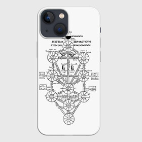 Чехол для iPhone 13 mini с принтом черно белые свитки в Тюмени,  |  | evangelion | ангелы | арт | база nerf | евангелион | икари | кабинет | кабинет икари | надпись | свитки | чёрное белое