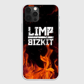 Чехол для iPhone 12 Pro Max с принтом LIMP BIZKIT в Тюмени, Силикон |  | Тематика изображения на принте: dj lethal | limp bizkit | rock | джон отто | лимп бизкит | майк смит | музыка | роб уотерс | рок | сэм риверс | терри бальзамо | уэс борланд | фред дёрст