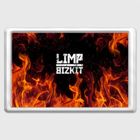 Магнит 45*70 с принтом LIMP BIZKIT в Тюмени, Пластик | Размер: 78*52 мм; Размер печати: 70*45 | dj lethal | limp bizkit | rock | джон отто | лимп бизкит | майк смит | музыка | роб уотерс | рок | сэм риверс | терри бальзамо | уэс борланд | фред дёрст