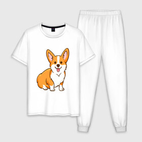 Мужская пижама хлопок с принтом Корги в Тюмени, 100% хлопок | брюки и футболка прямого кроя, без карманов, на брюках мягкая резинка на поясе и по низу штанин
 | dog. корги | dogs | весёлые собачки | милые собачки | прикольные собачки | собаки | собачки