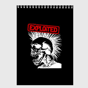 Скетчбук с принтом The Exploited в Тюмени, 100% бумага
 | 48 листов, плотность листов — 100 г/м2, плотность картонной обложки — 250 г/м2. Листы скреплены сверху удобной пружинной спиралью | Тематика изображения на принте: punks | punks not dead | the exploited | панк не сдох | панки | уоти | череп | эксплоитед