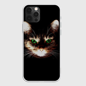 Чехол для iPhone 12 Pro с принтом Зеленоглазый кот в Тюмени, силикон | область печати: задняя сторона чехла, без боковых панелей | зеленые глаза | кот | котик | кошак | кошатнику | кошатнице | кошачий портрет | кошка | кошка с зелеными глазами | кружка | любительнице ко | любителю кошек | подушка | полосатый кот | портрет кота