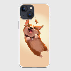 Чехол для iPhone 13 mini с принтом КОРГИ в Тюмени,  |  | animals | corgi | dogs | pets | puppies | queen | животные | корги | королева | песики | питомцы | собаки | щенки